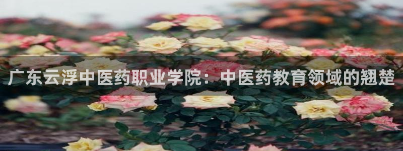 九游会是真的吗