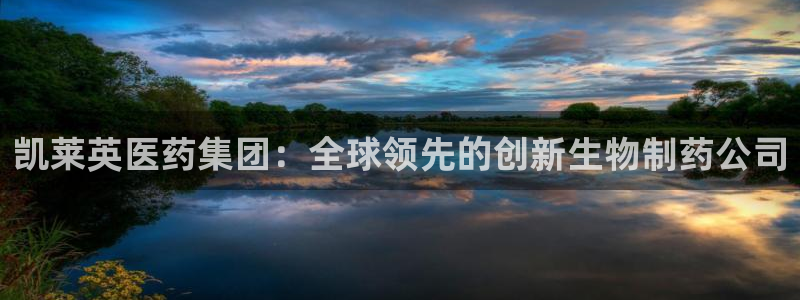 九游会ag官方平台