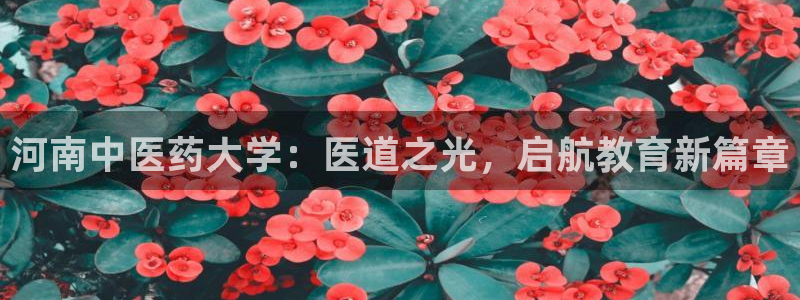 j9九游登陆