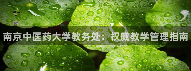 九游会官网页