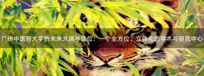 九游会官方网站中心