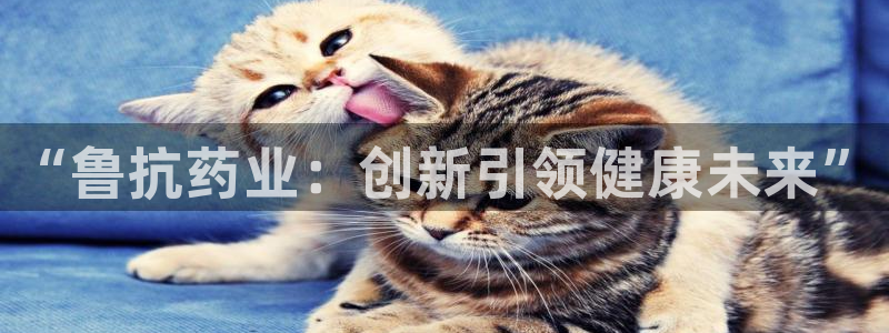 九游会上不去了