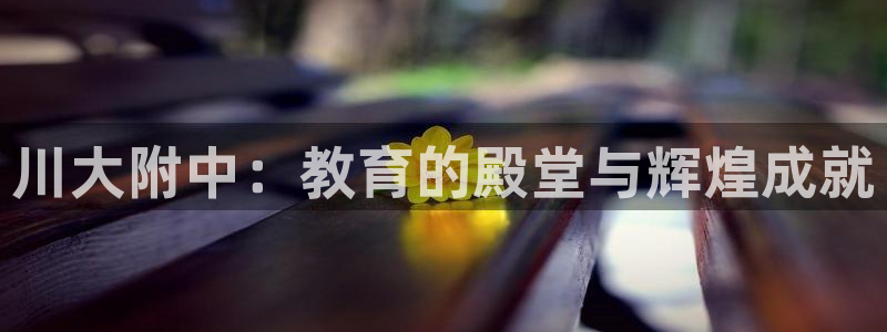 九游j9会