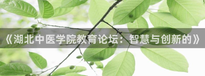 九游会网站登录