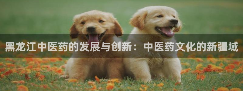 九游会ag真人官网|九游真人