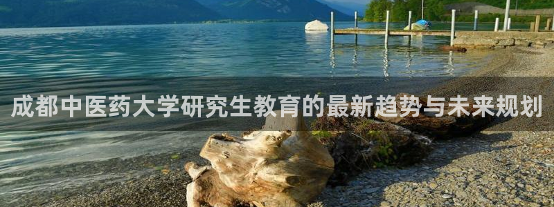 九游会平台j9