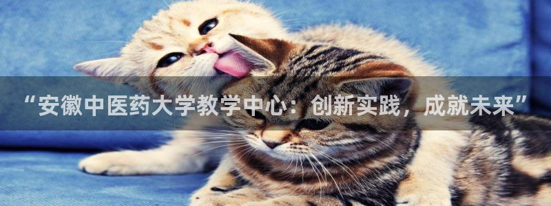 j9九游会