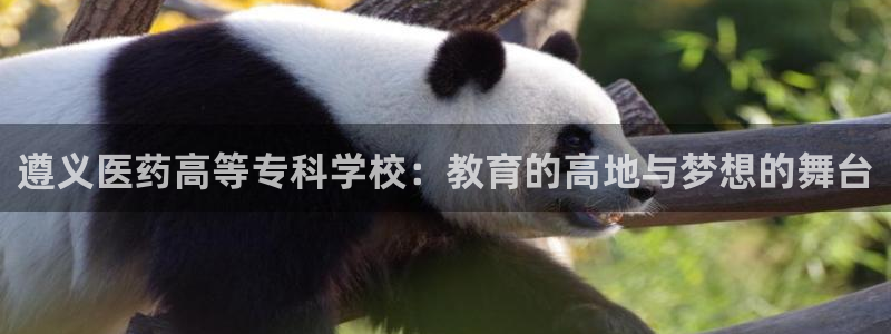 j9官网app