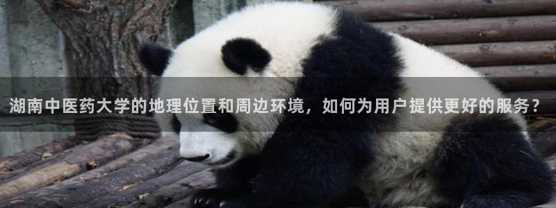 九游会黑吗