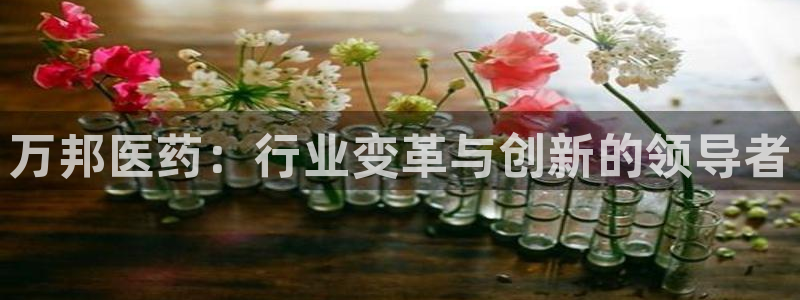 九游J9真人游戏第一品牌