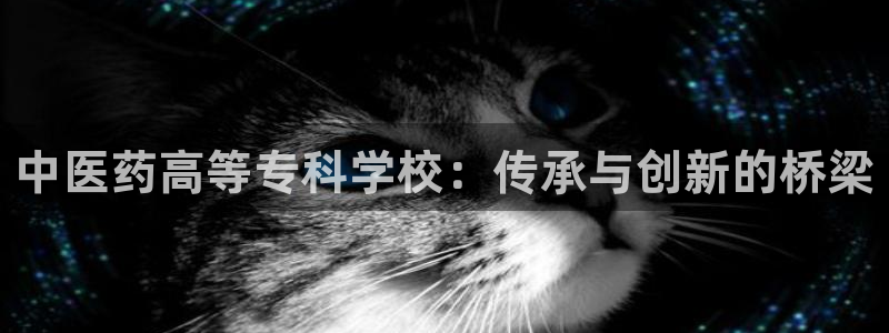九游会官网进入口