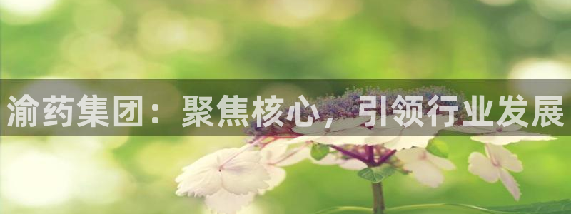 九游会j9登录官网：