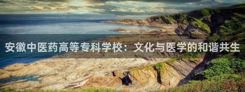 九游会在线官方网站登录吗