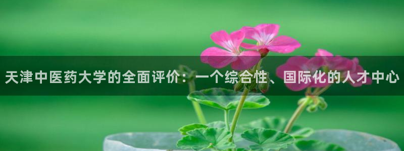 ag老队