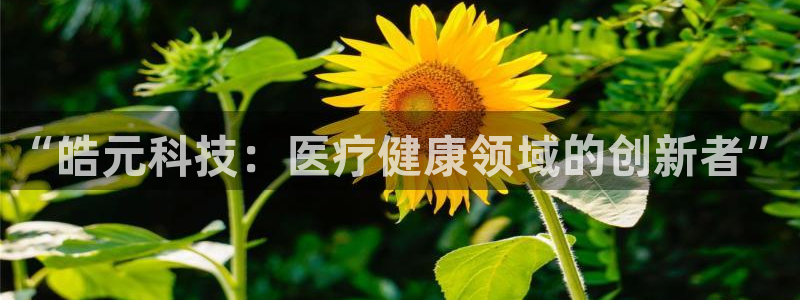 ag九游最新