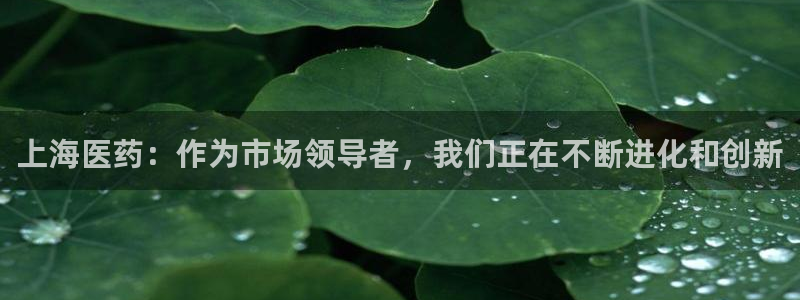 j9九游会ag私享