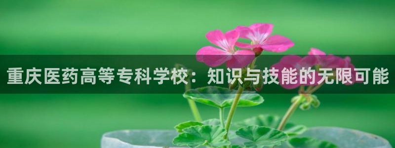 九游会官网登录中心