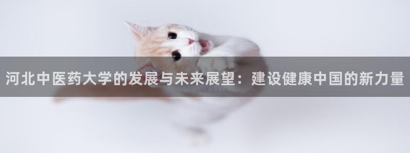 九游会j9官网登陆