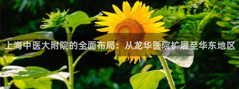 九游会最新网站