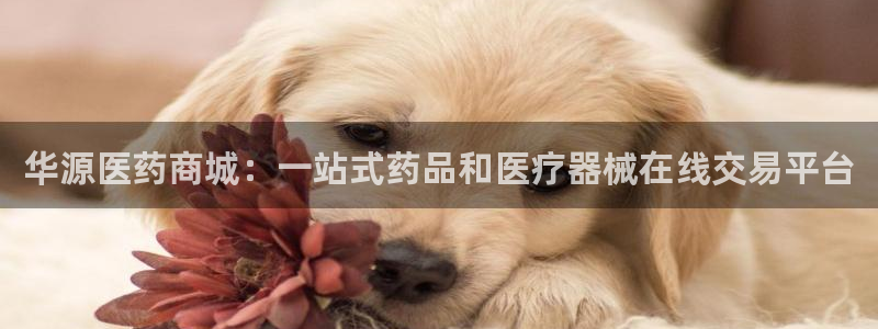 九游会j9官网网站