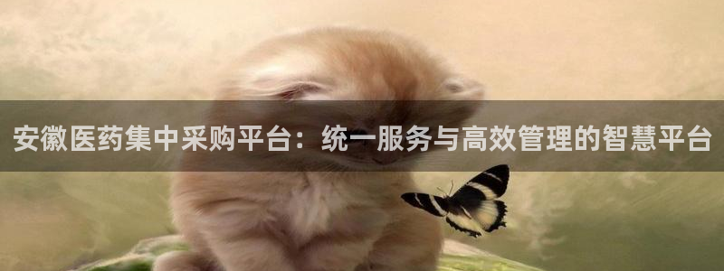 九游会网址是多少
