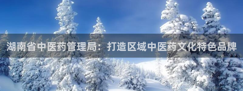 九游会ag网址大全专 